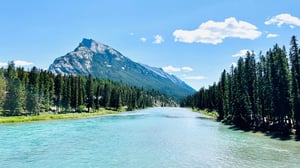 shutterstock_2441101947